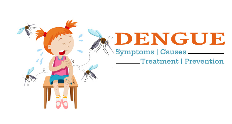 Things to Know About Dengue - Symptoms, Causes, Treatment & Prevention
