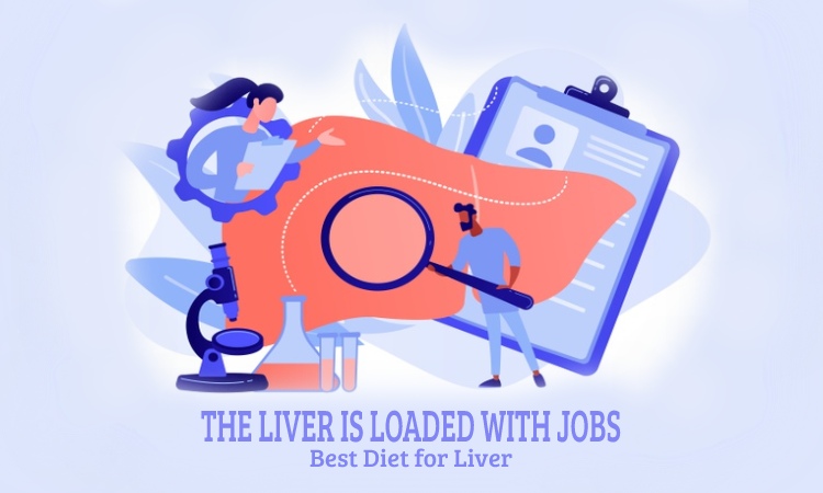 Some Facts that You Probably Didn’t Know About Your Liver | Know best diet for liver & Prevention