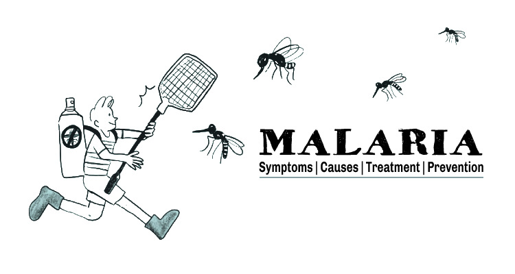 What is Malaria and Its Type - Early Symptoms, Cause, Treatment, Prevention