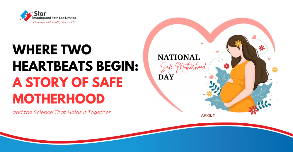 Where Two Heartbeats Begin: A Story of Safe Motherhood and the Science That Holds It Together