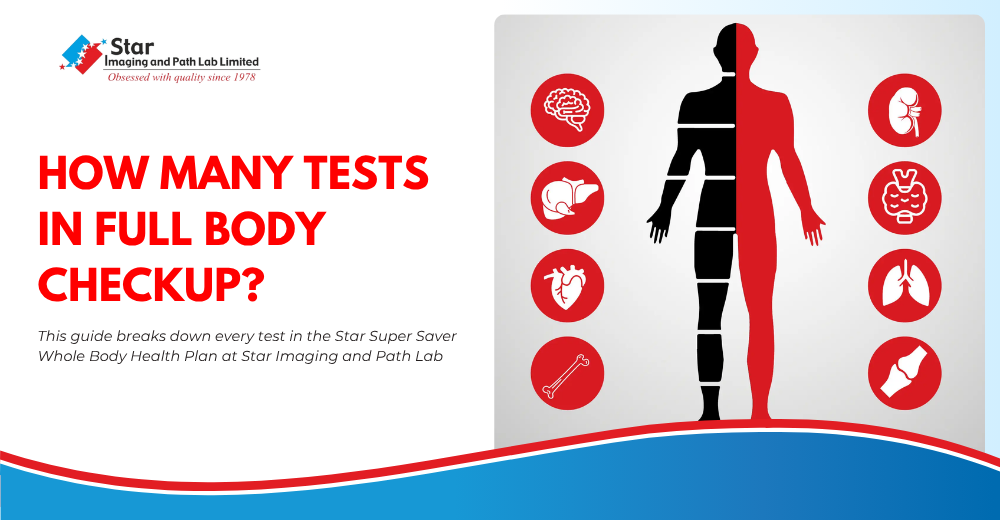 How many tests in full body checkup: A complete guide
