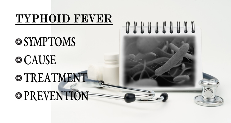 What is Typhoid: Symptoms, Causes, Treatments and Preventions